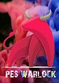 Pes Warlocks