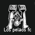 LOS PELAOS
