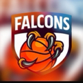 Falcons