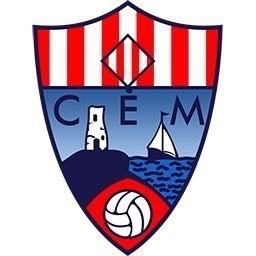 Logo Team