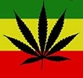 Rasta