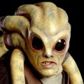 Kit Fisto