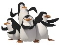 LOS PINGÜINOS (2 SYM)