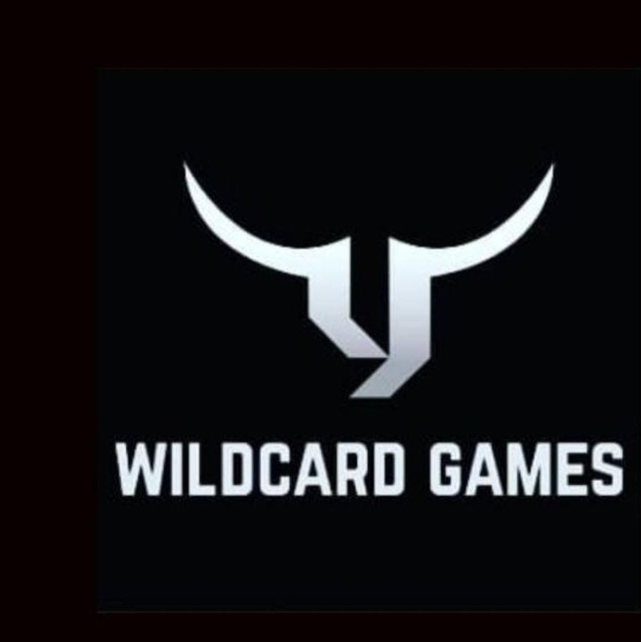 WILDCARDS