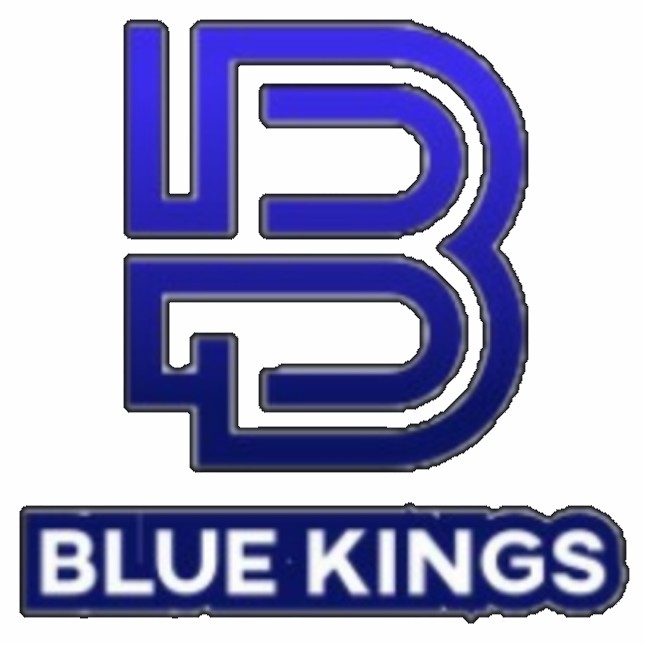 BLUE KINGS ESPORTS