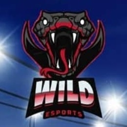 Wild eSports