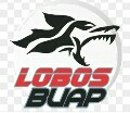 Lobos buab