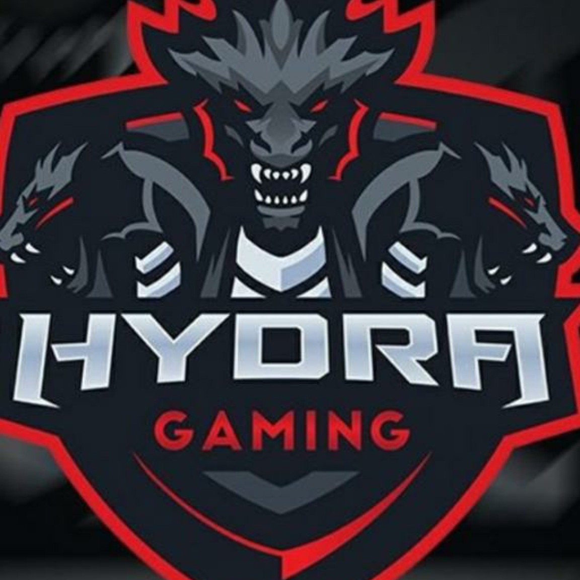 HYDRA GAMING 