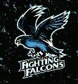 Fighting Falcons Fc