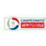 Campeonato Afp Plan Vital 2
