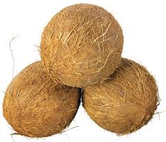 COCONUT (BIG)