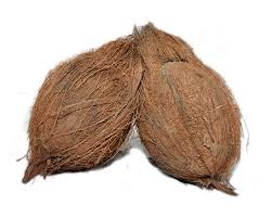 COCONUT (MEDIUM)