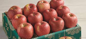 APPLE (HONEY RED)