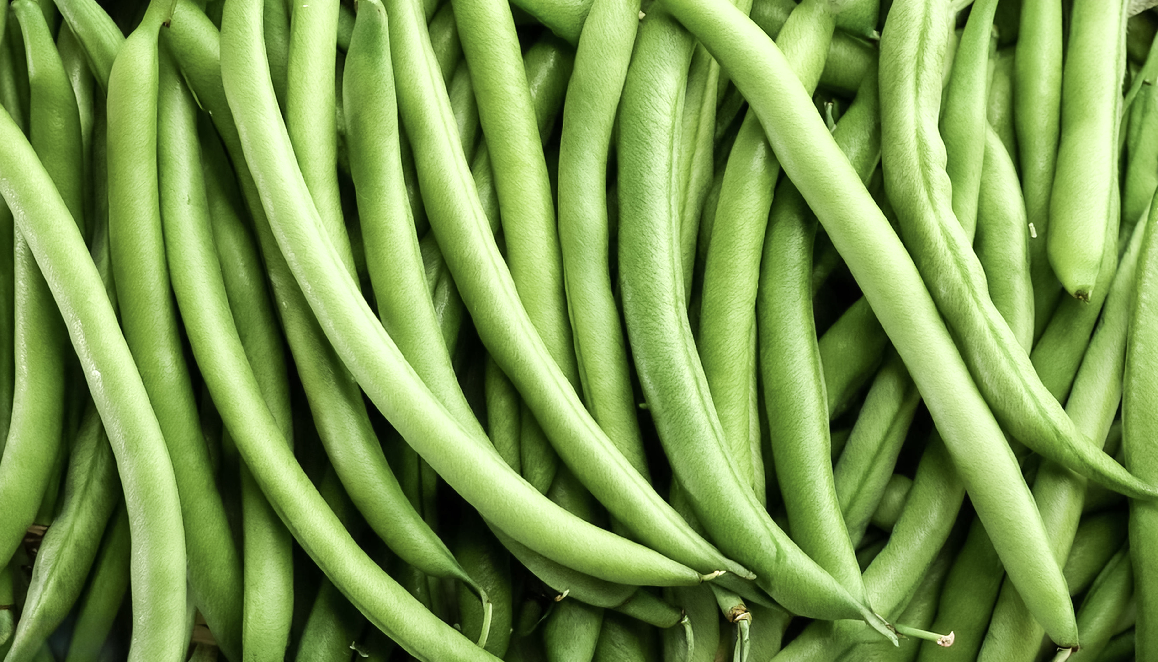 RUNNER BEANS 