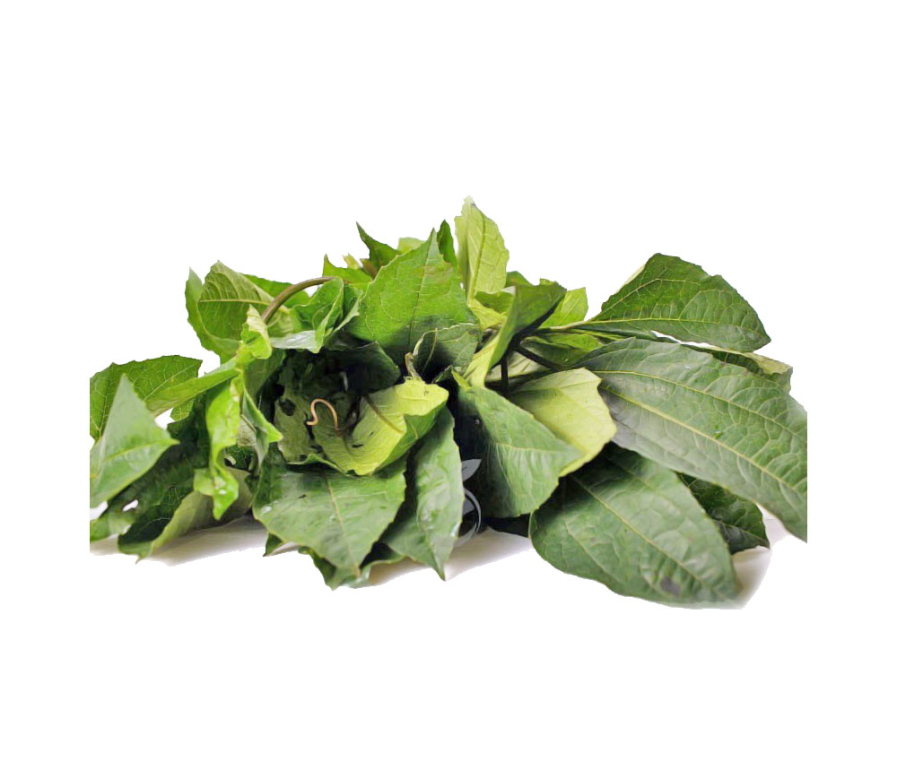 1 BUNCH UGU