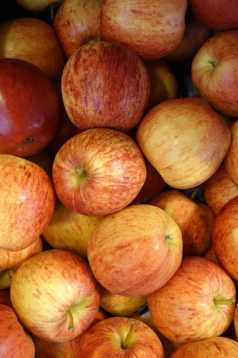 맛있는 사과입니다.  2