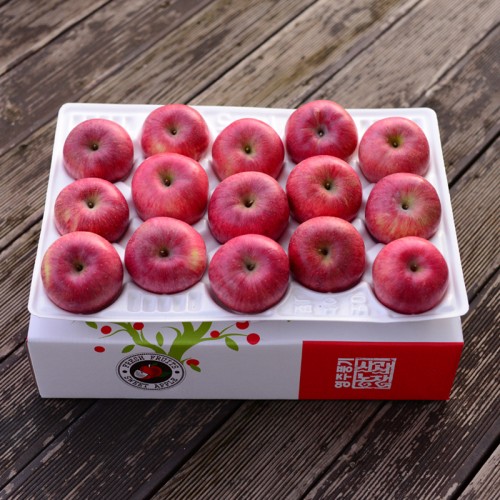 맛있는 사과입니다. 