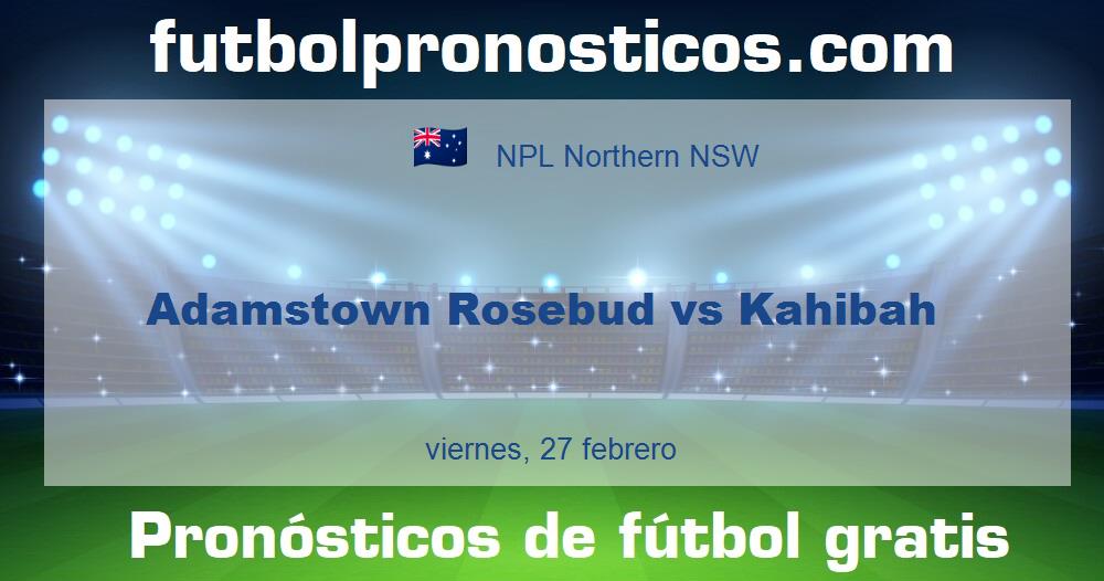 Adamstown Rosebud vs Kahibah
