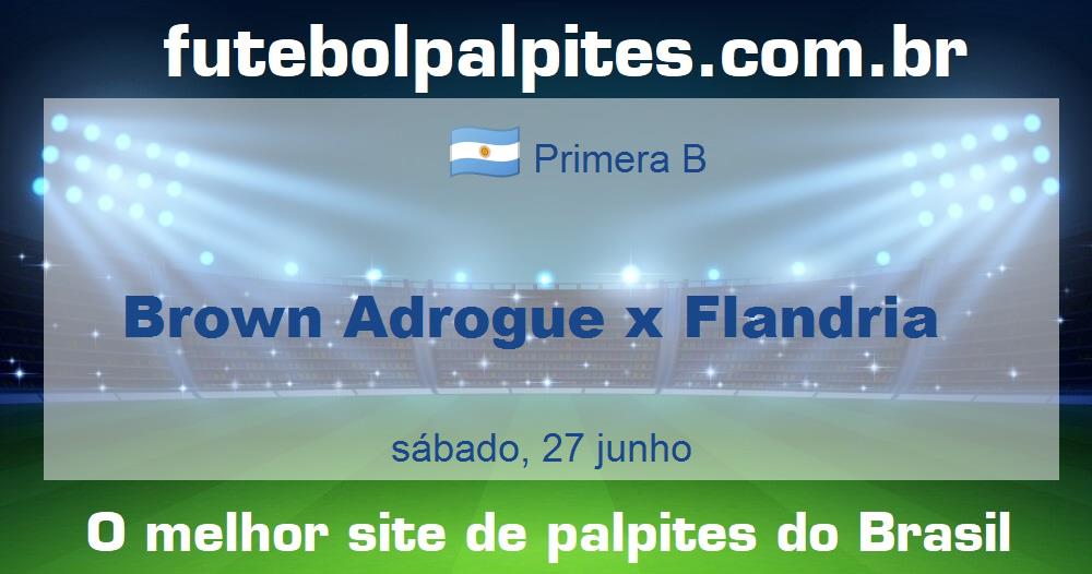 Brown Adrogue x Flandria