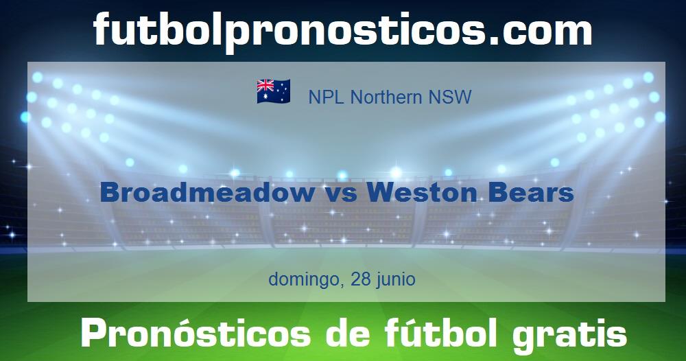 Broadmeadow vs Weston Bears