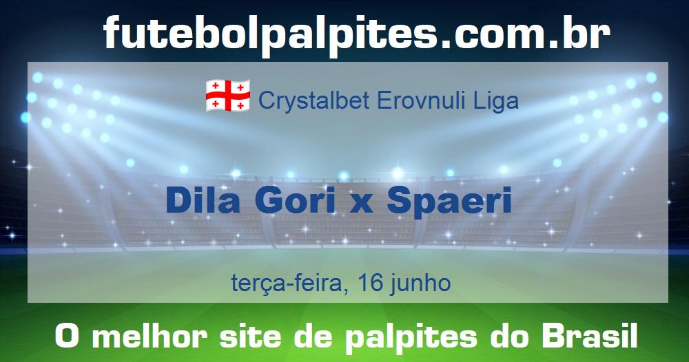 Dila Gori x Spaeri