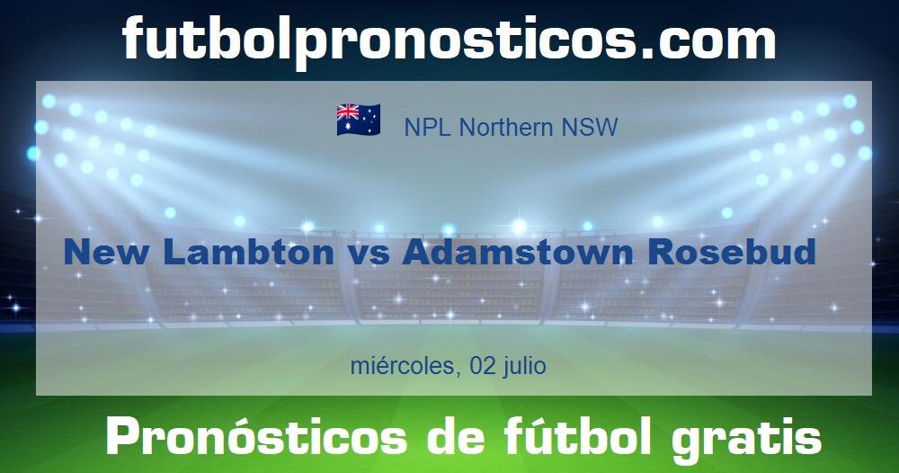 New Lambton vs Adamstown Rosebud New Lambton vs Adamstown Rosebud