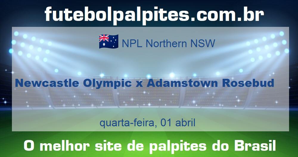 Newcastle Olympic x Adamstown Rosebud