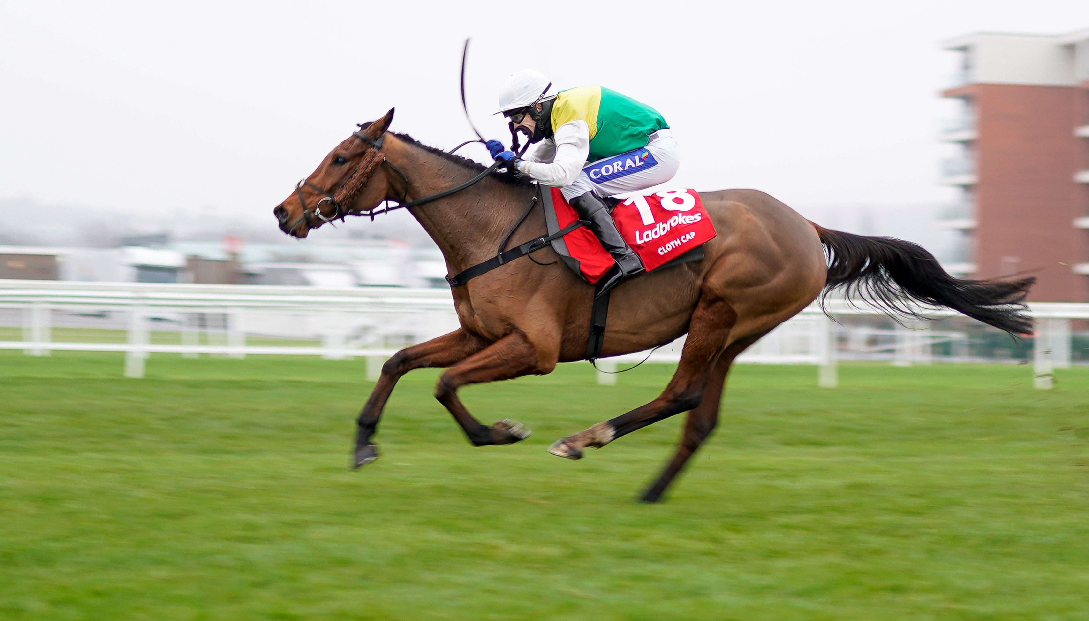 grand national betting grand national betting
