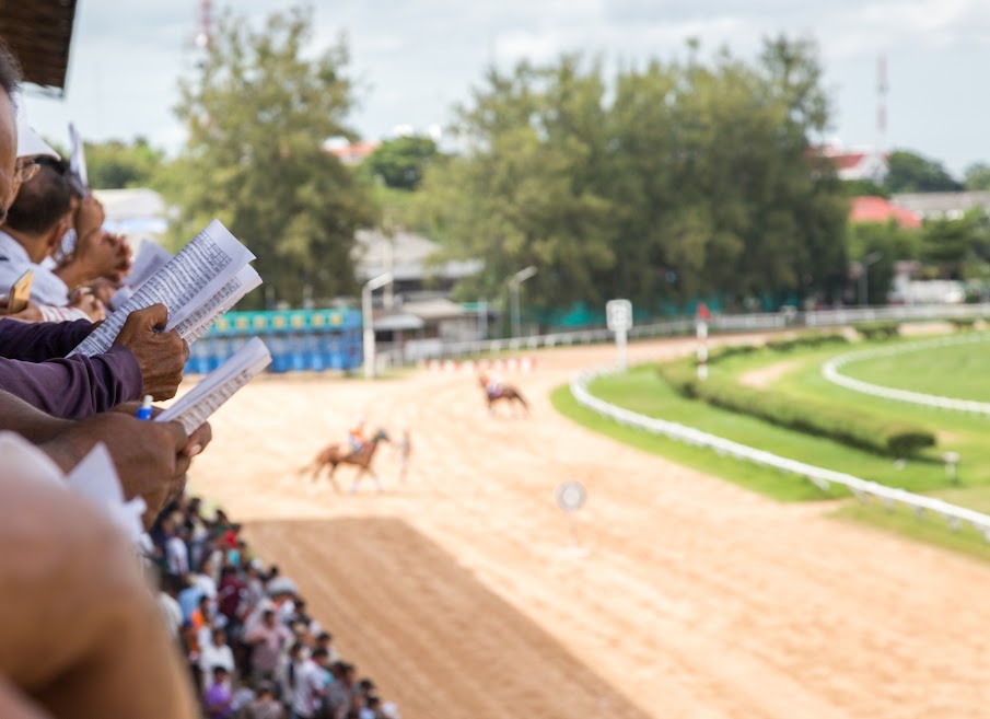 horse racing horse racing