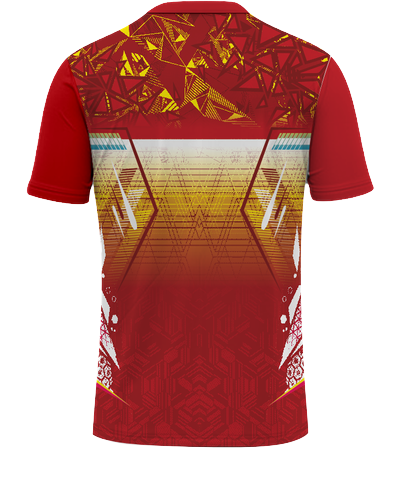 Football Kit 33 - Back View
