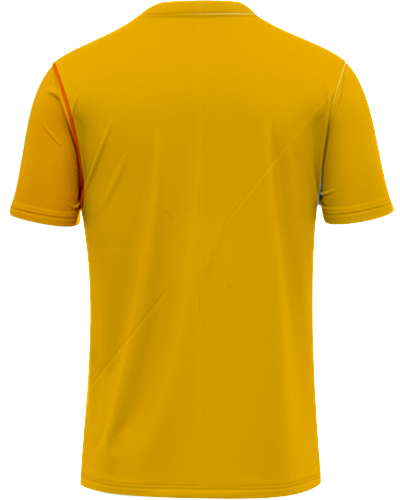 PickleBall Kit 03 - Back View