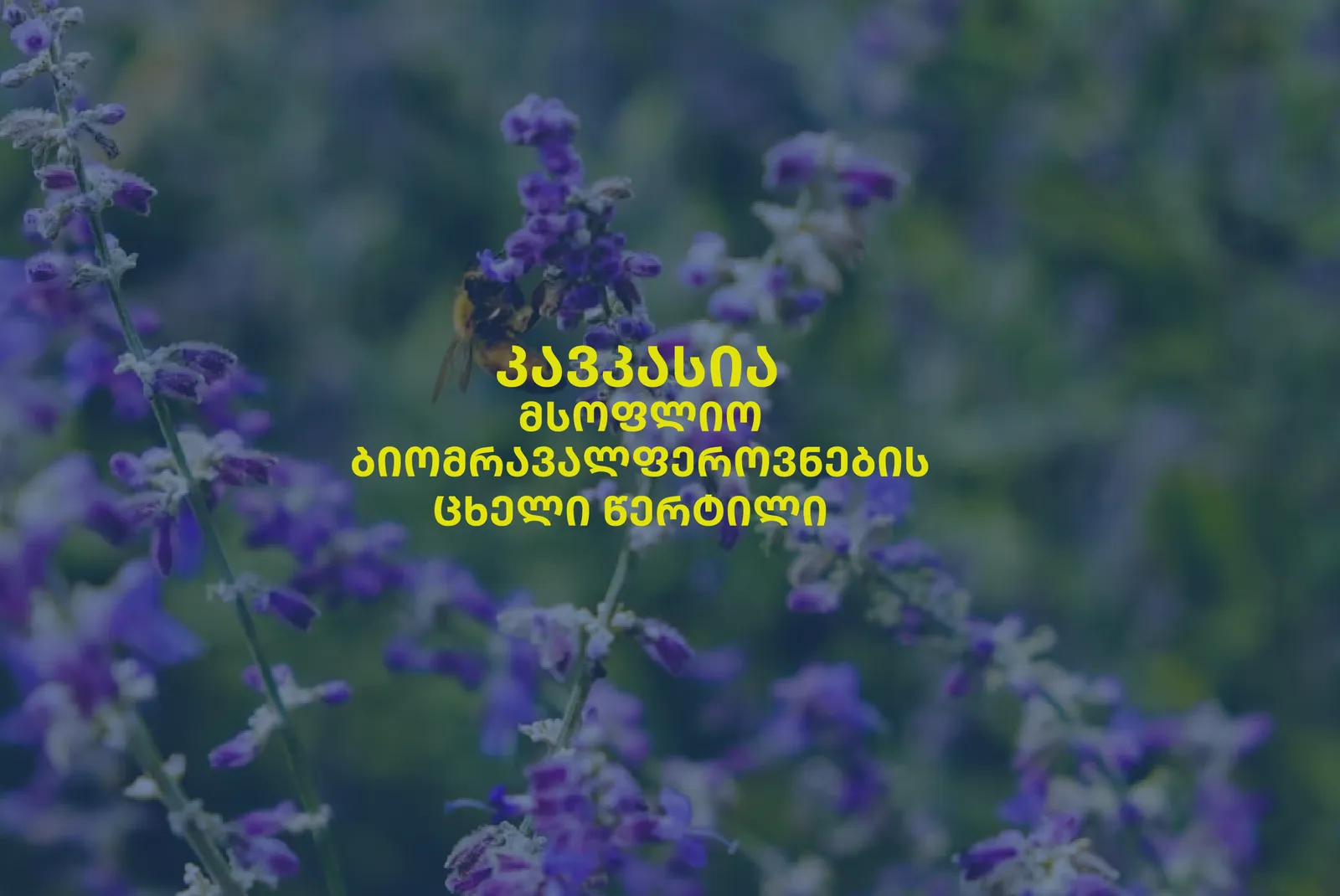 კავკასია - მსოფლიო ბიომრავალფეროვნების ცხელი წერტილი