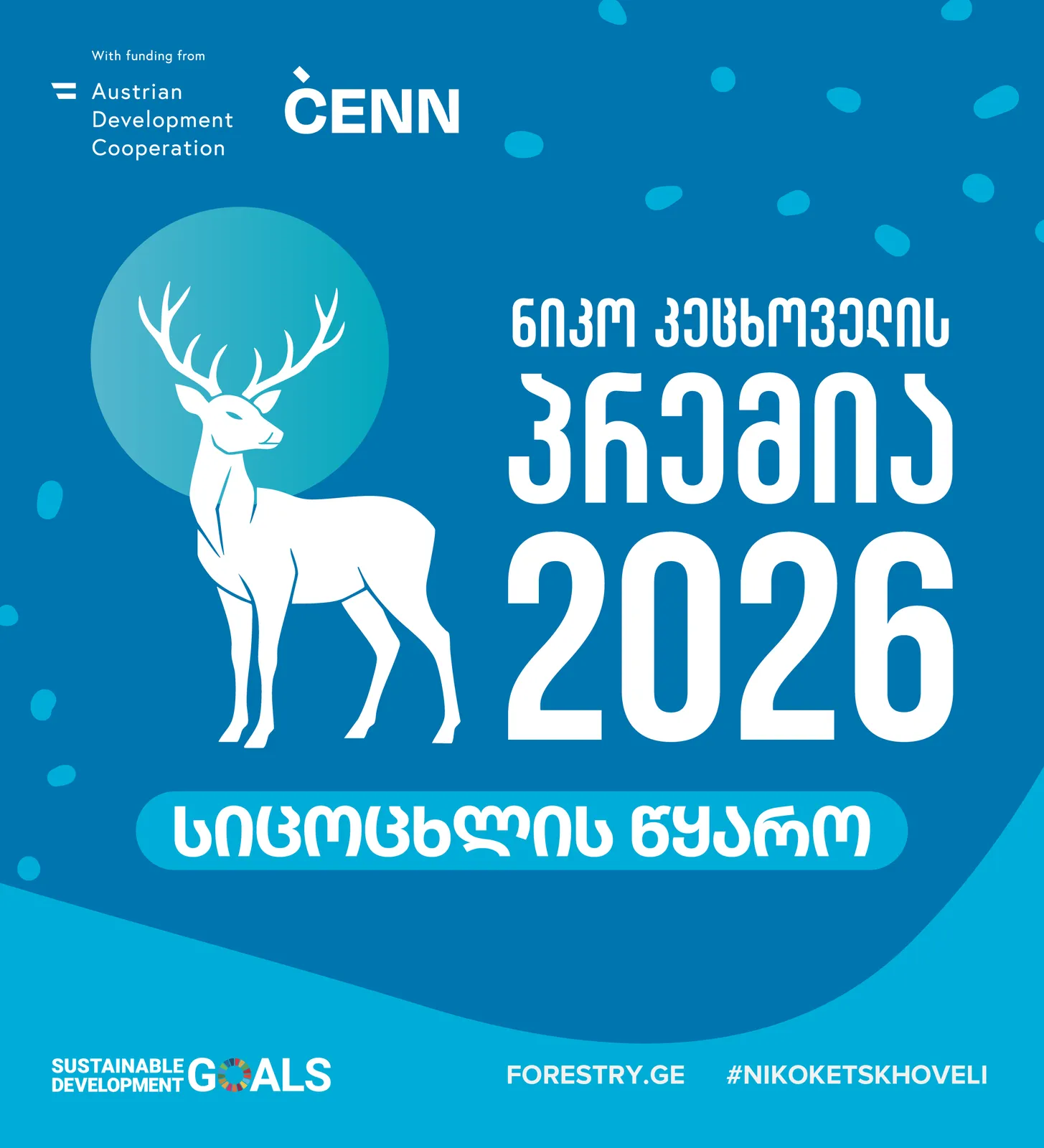 ნიკო კეცხოველის სასკოლო პრემია 2026
