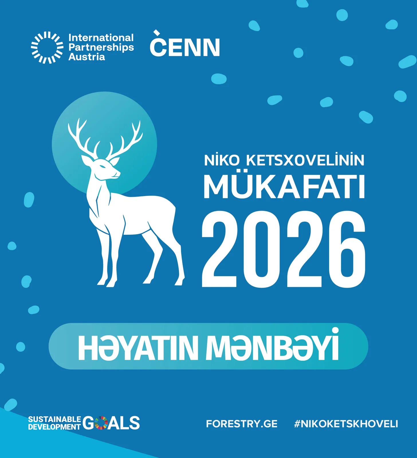 ნიკო კეცხოველი 2026-ის გზამკვლევი აზერბაიჯანულ ენაზე
