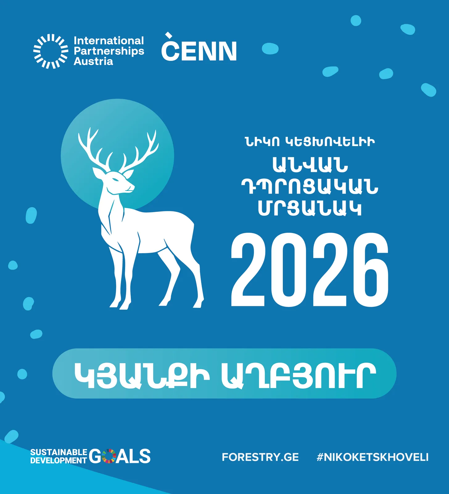 ნიკო კეცხოველი 2026-ის გზამკვლევი სომხურ ენაზე