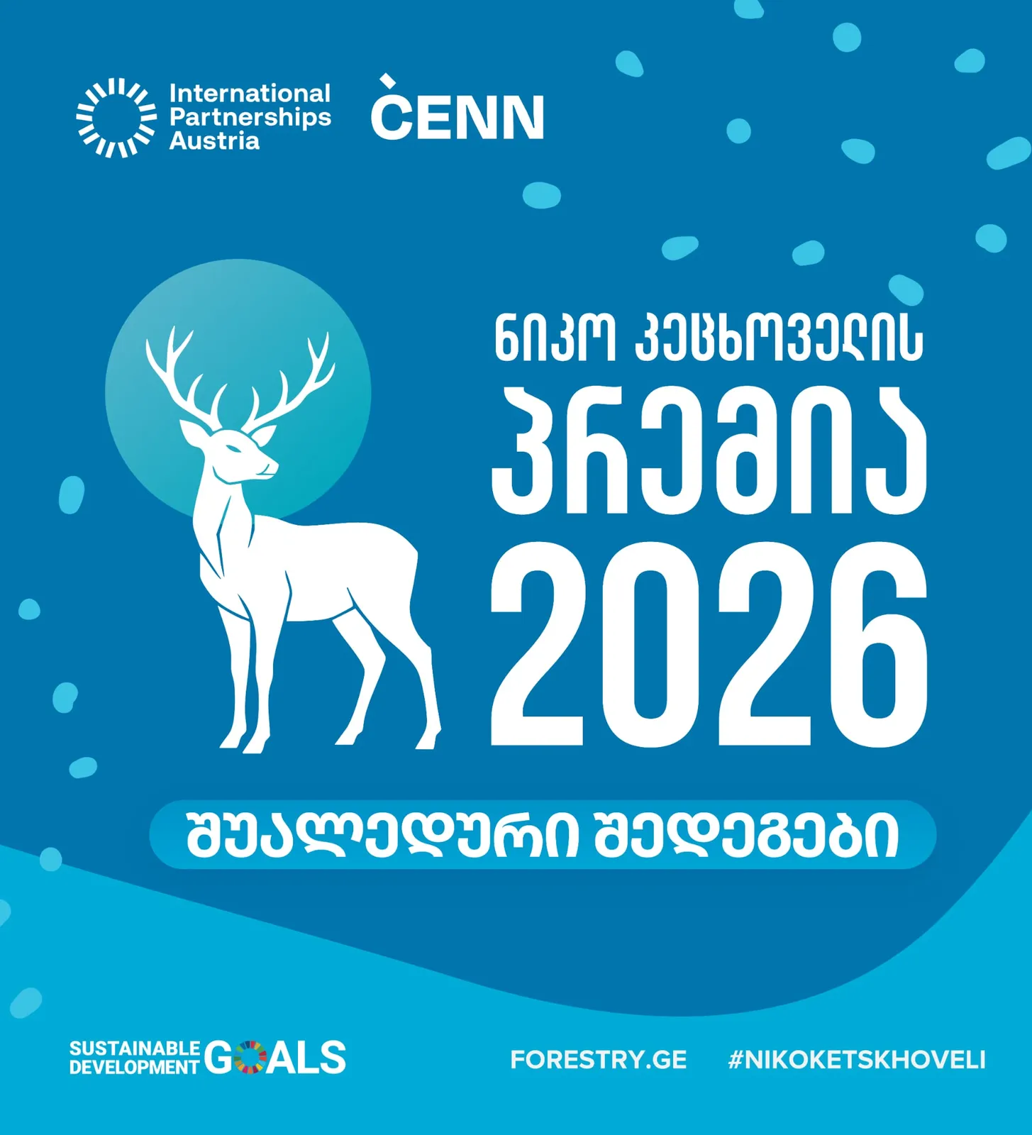 ნიკო კეცხოველი 2026-ის შუალედური შედეგები