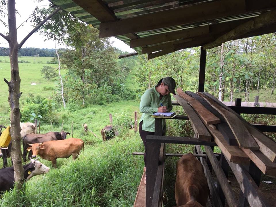 rancher