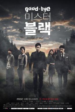 굿바이 미스터 블랙