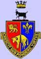 Tavistock College