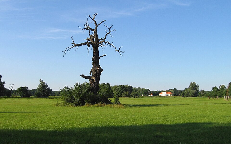 Dyjský trojúhelník