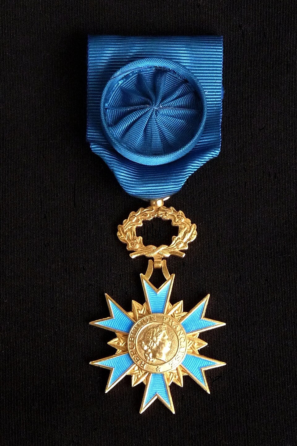 Officer of the National Order of Merit