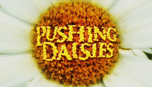 Pushing Daisies