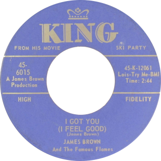 I Got You (I Feel Good)