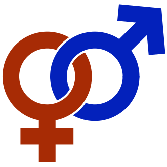 젠더