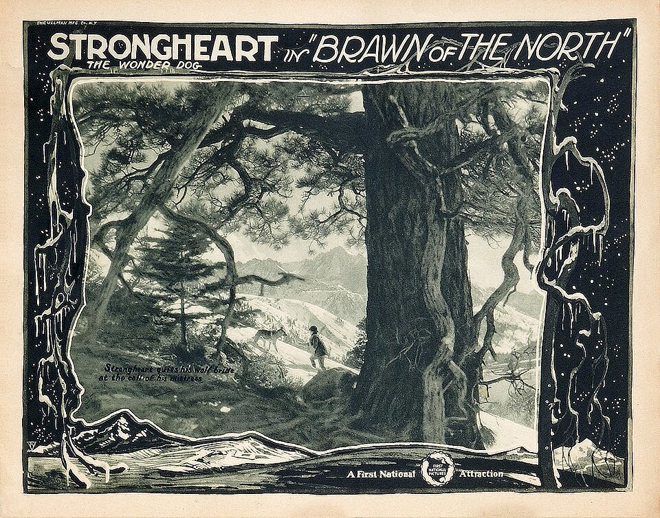 Brawn of the North