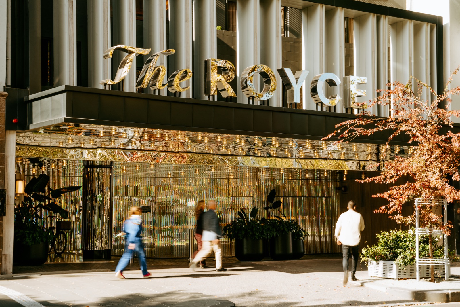 The Showroom Bar at The Royce Puts on a Show - Image 1