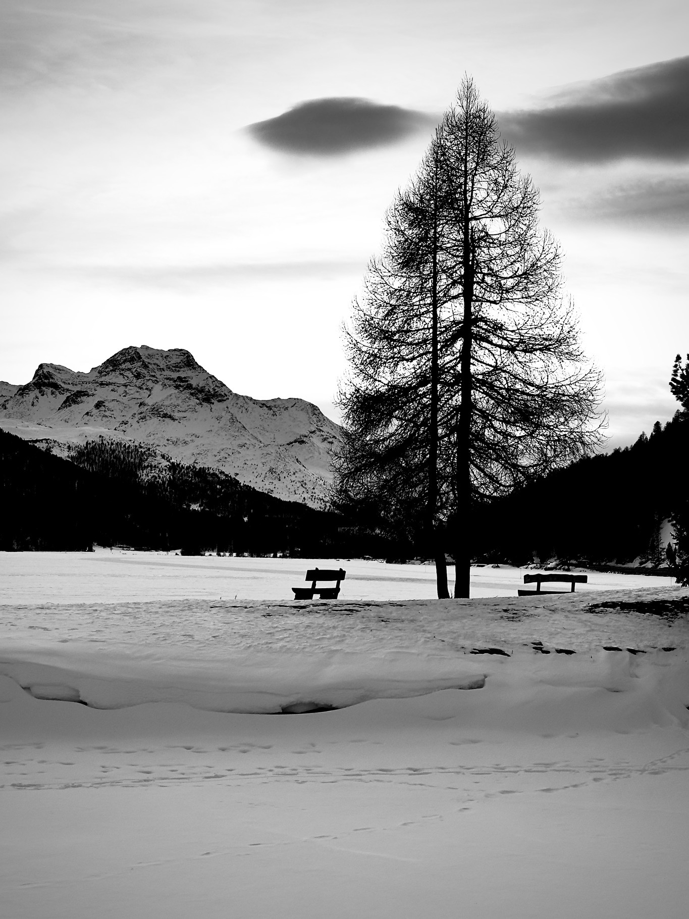 Portfolio Foto 117