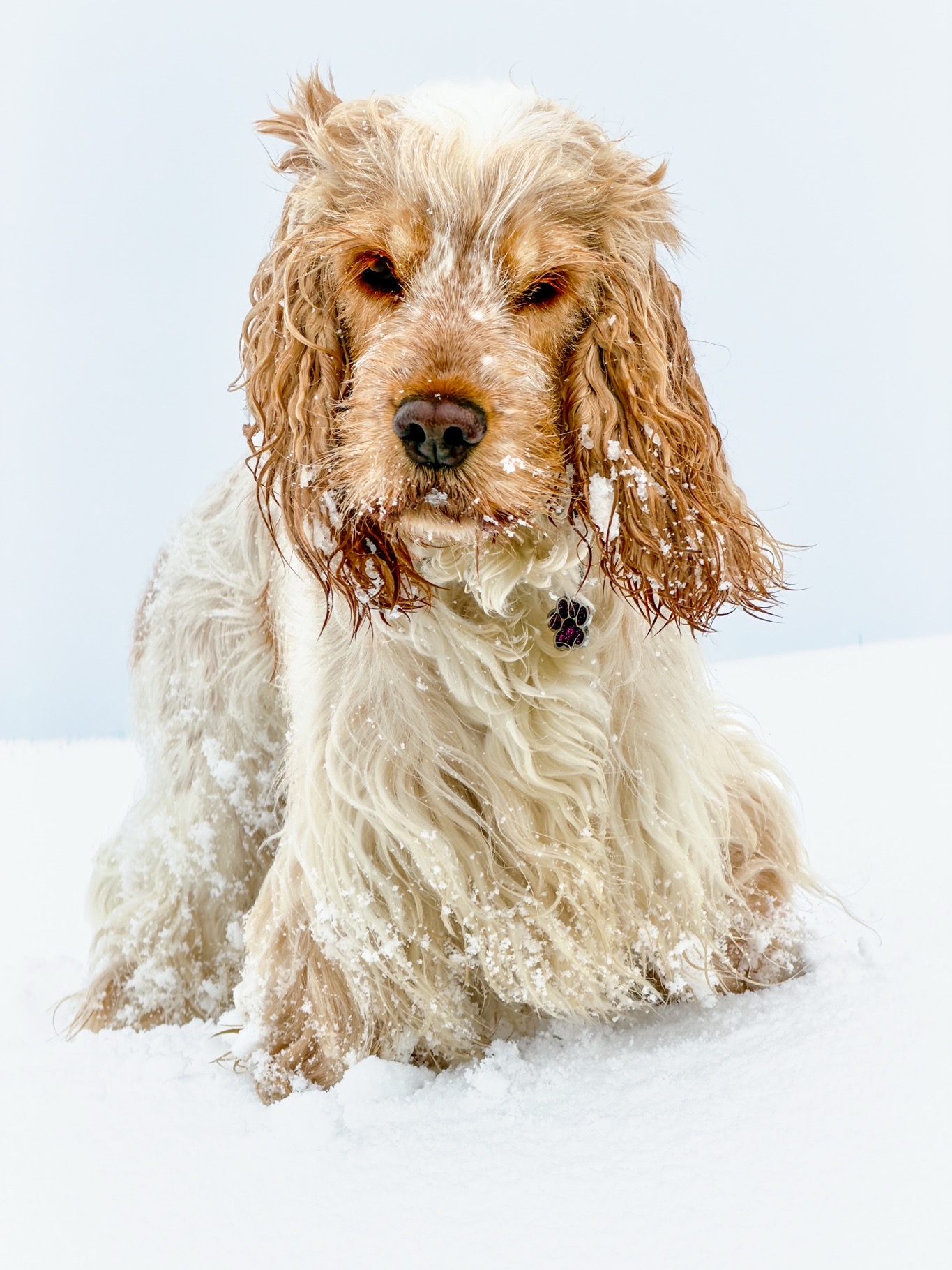 Portfolio Foto 25