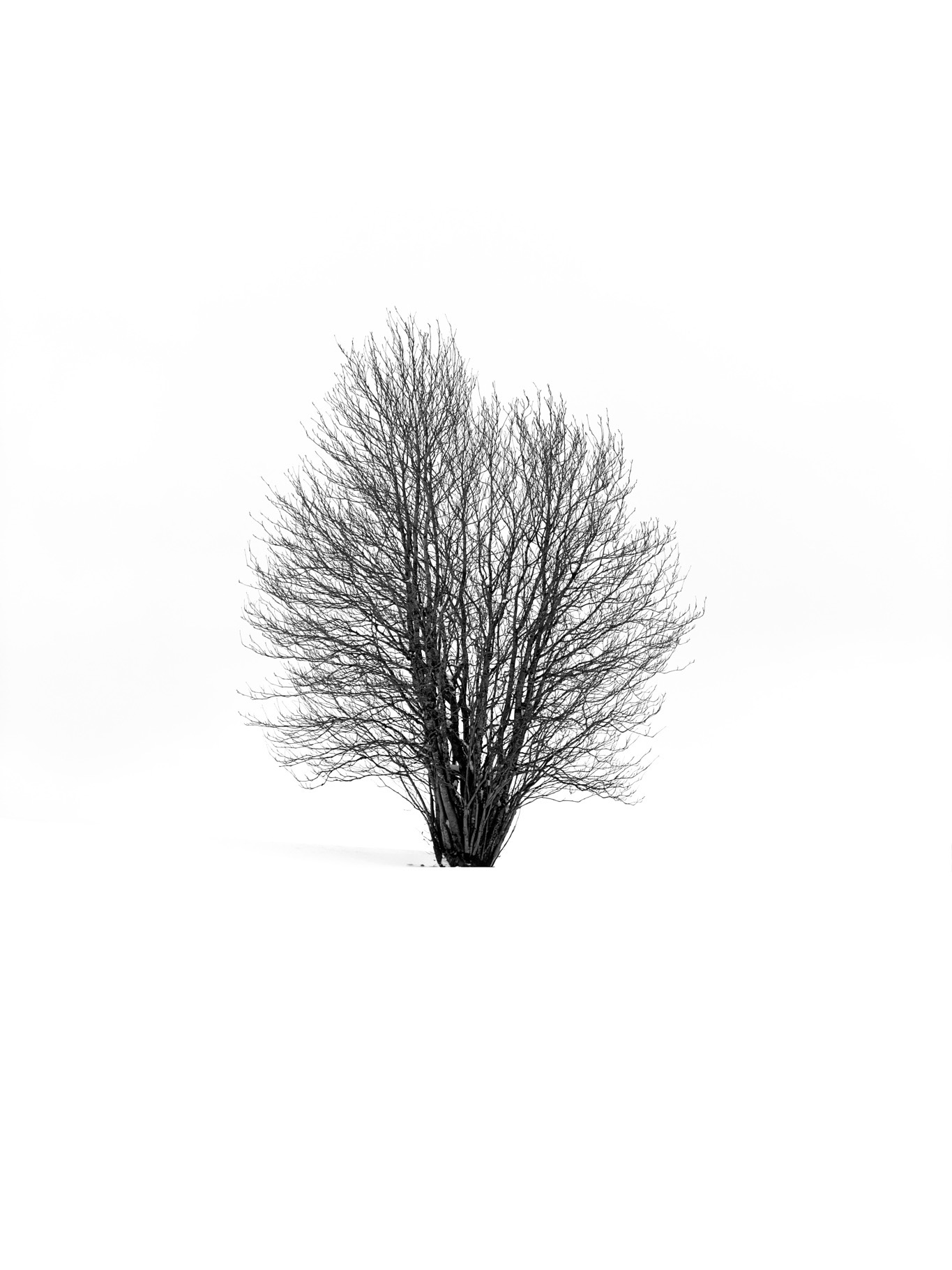Portfolio Foto 19