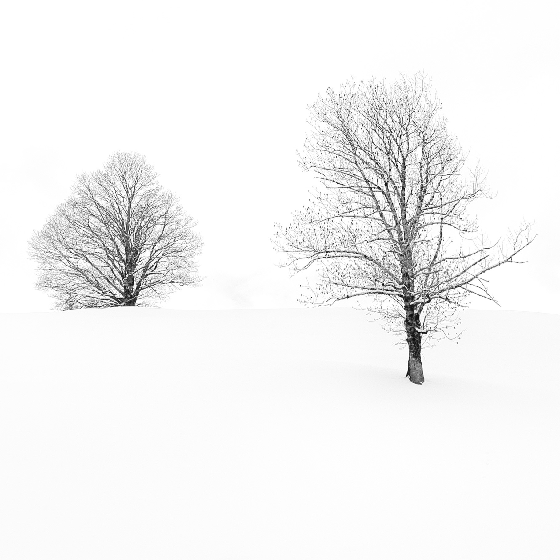 Portfolio Foto 21